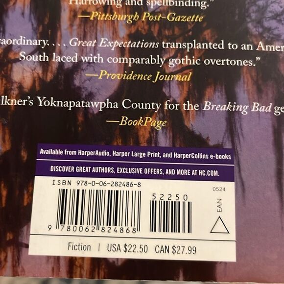 Greg Iles - Southern Man: A Novel - Picture 4 of 5